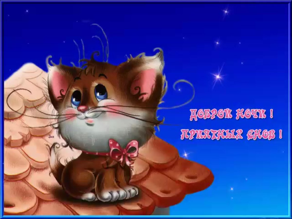 Поздравление с добрым вечером