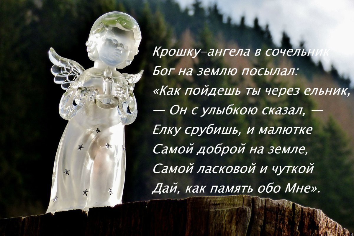 Пусть ангел хранит вас