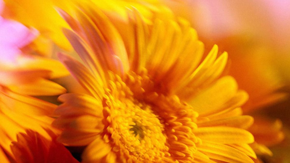 Желаем дальнейших успехов и побед