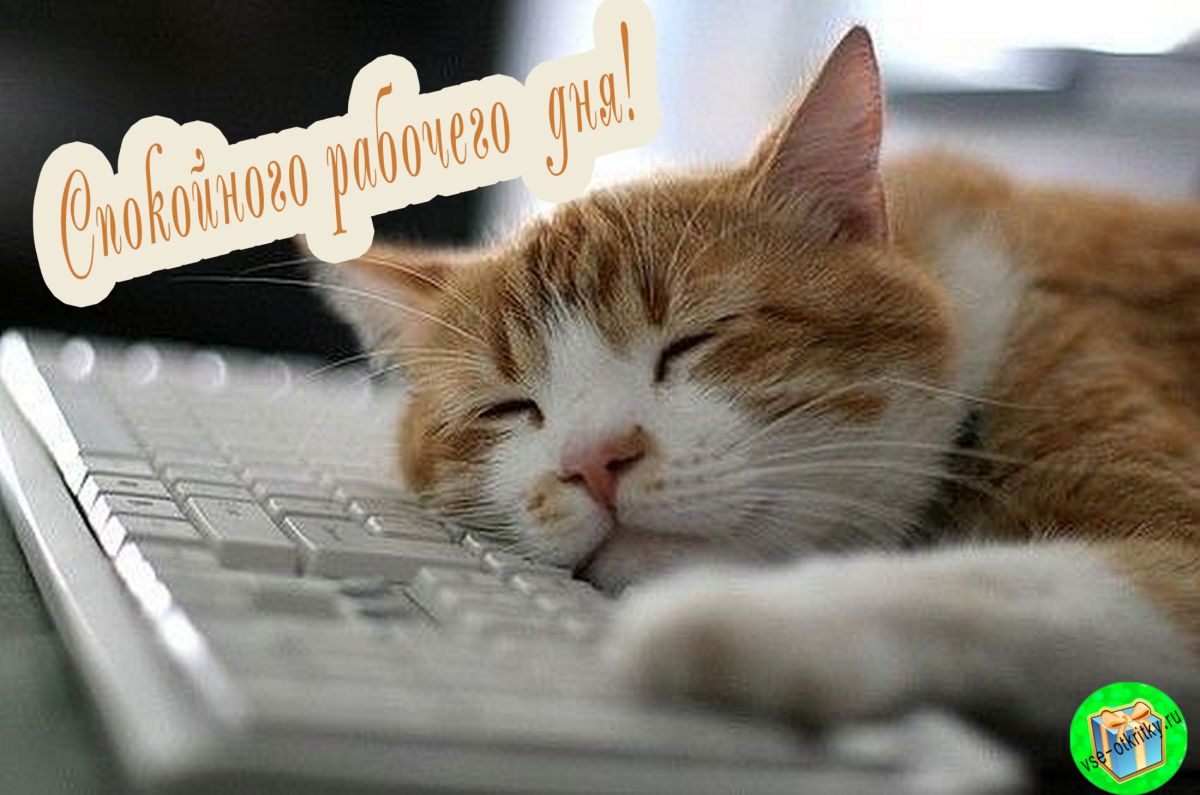 Поздравление с началом рабочего дня