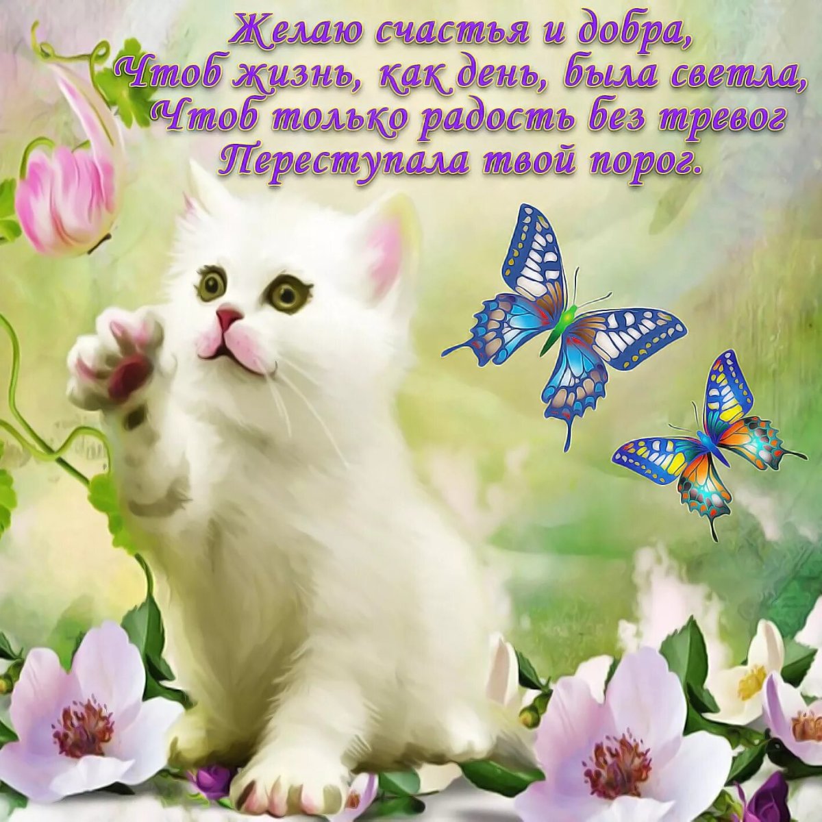 Пожелания хорошему человеку