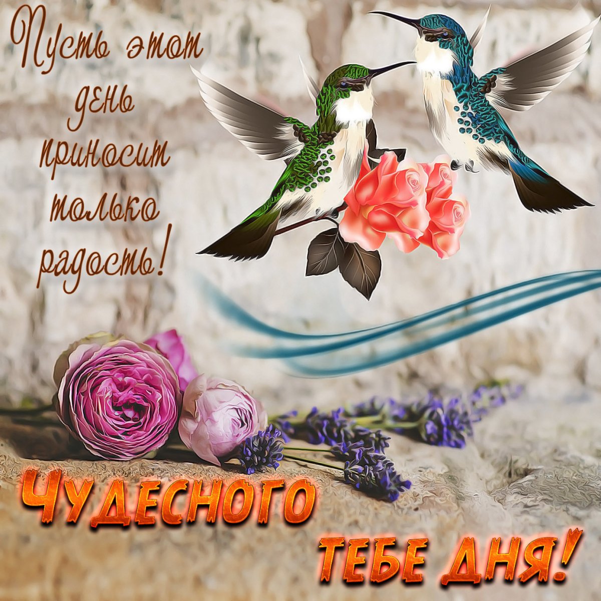 Хорошего дня птички