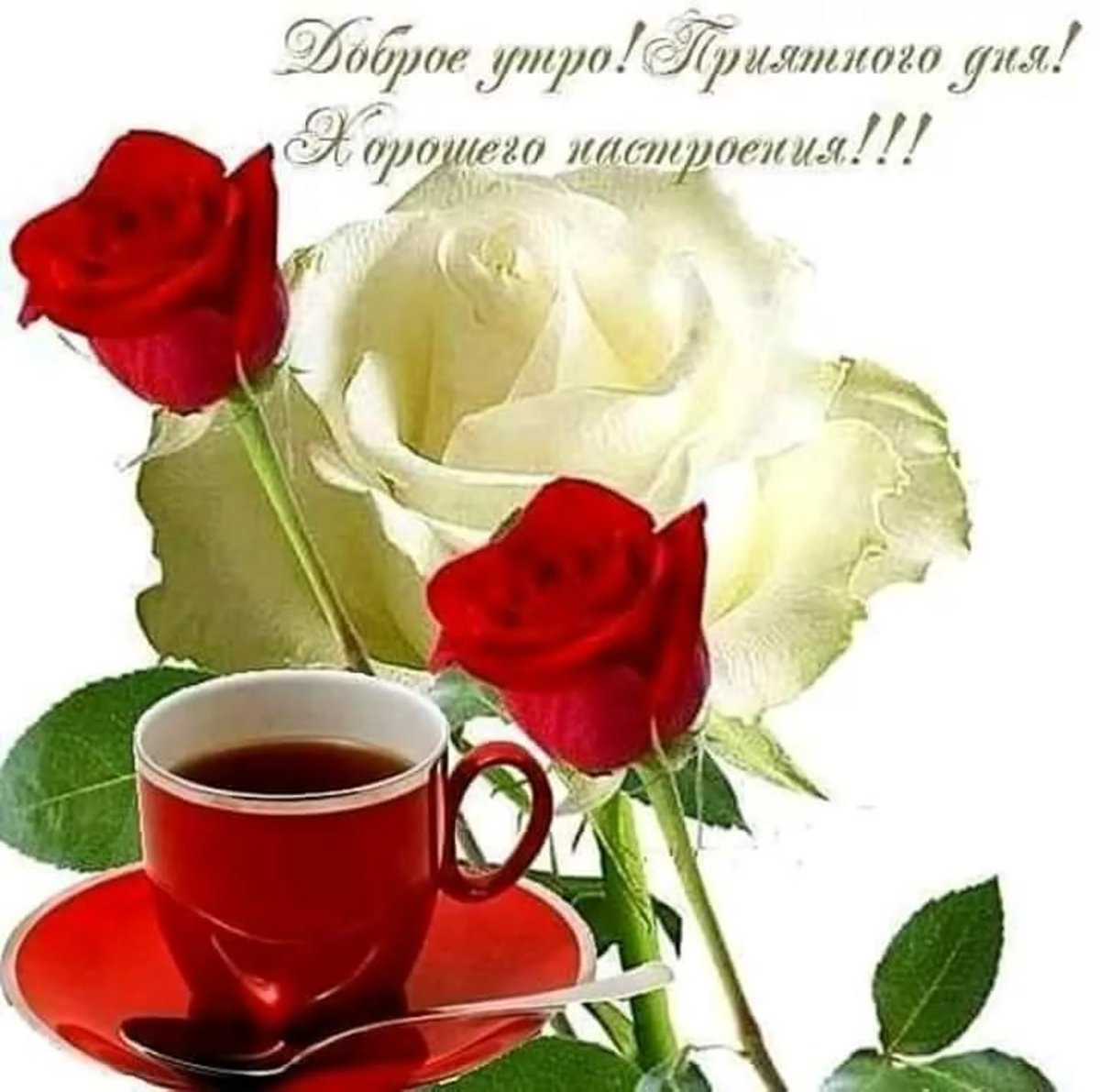 Доброе утро подруга картинки