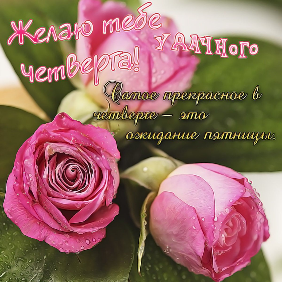 С добрым утром женщине красивые