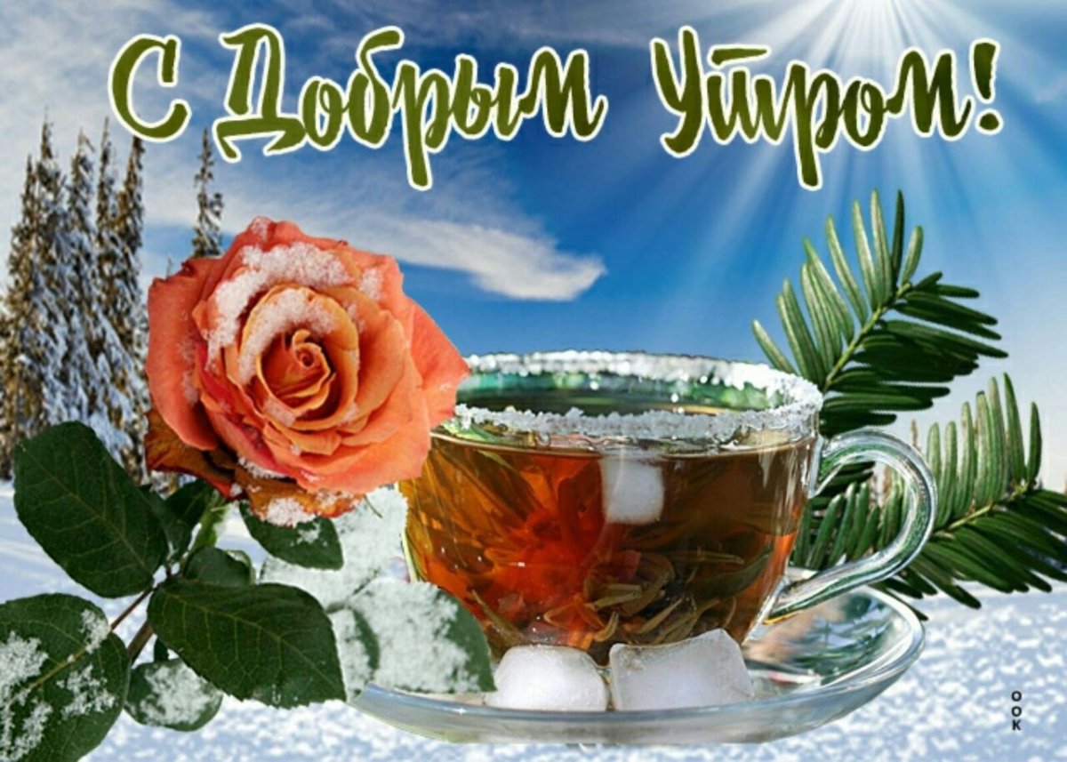 Доброе утро птички картинки зима с надписями