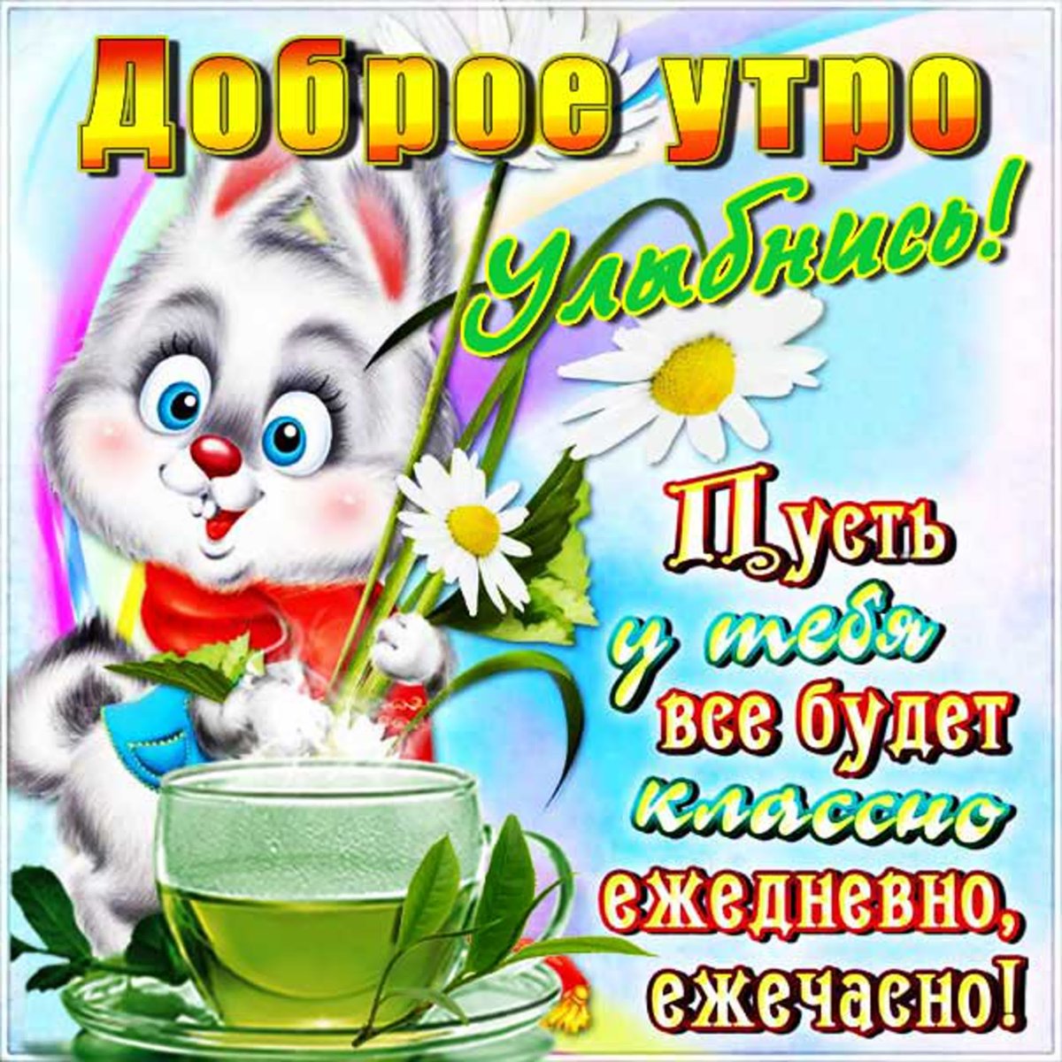 Смешные пожелания хорошего дня