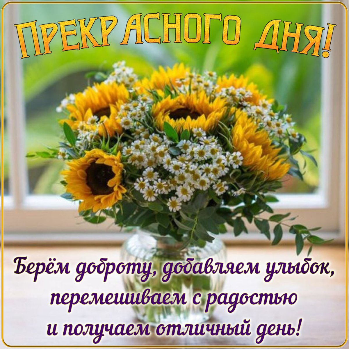 Полевые цветы Анютины глазки