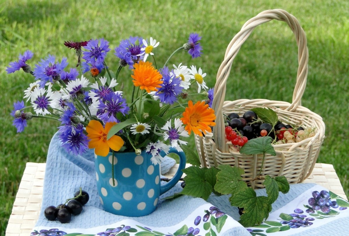 Марина Филатова блоггер