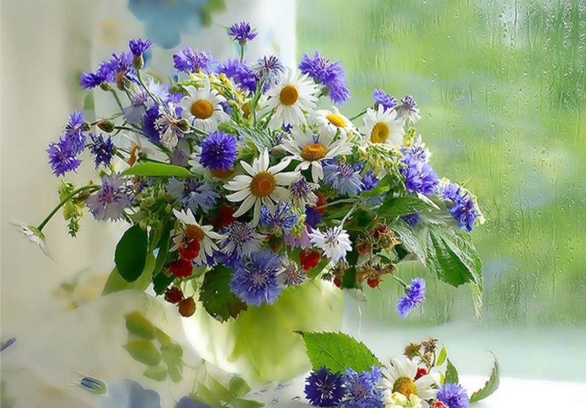 С добрым утром полевые цветы