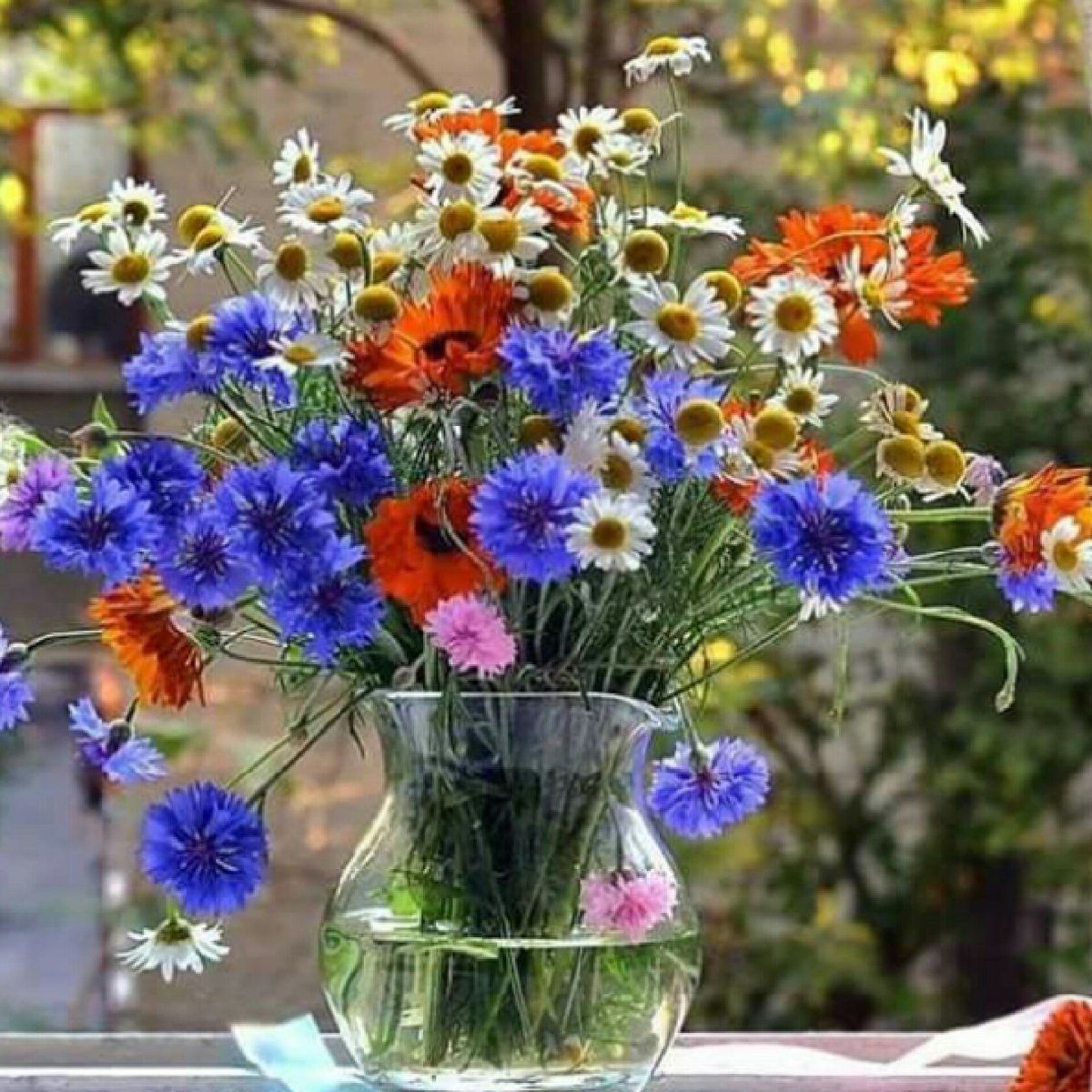 Букеты ромашек с пожеланиями