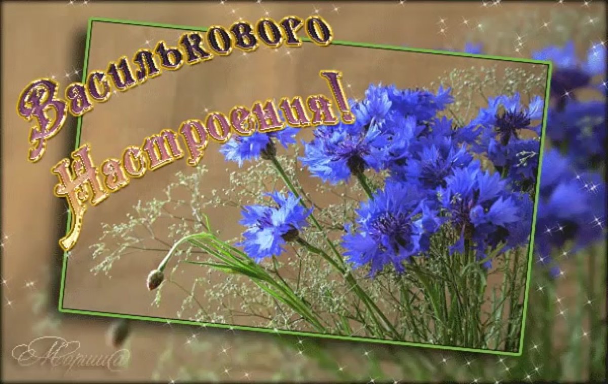 Открытка благодарности и добрым утром