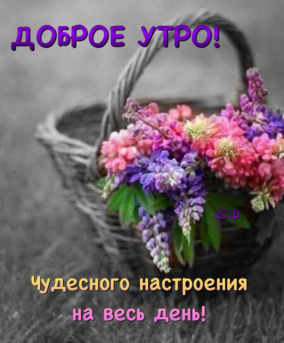 Доброе летнее утро