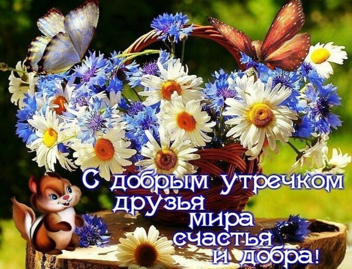 Добрые пожелания