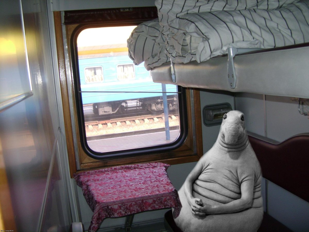 Ждун на железной дороге