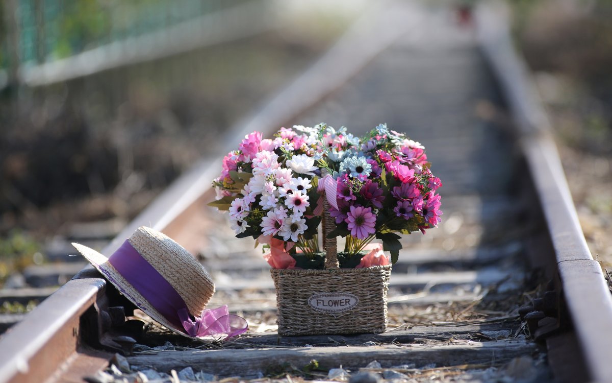 Цветы на скамейке