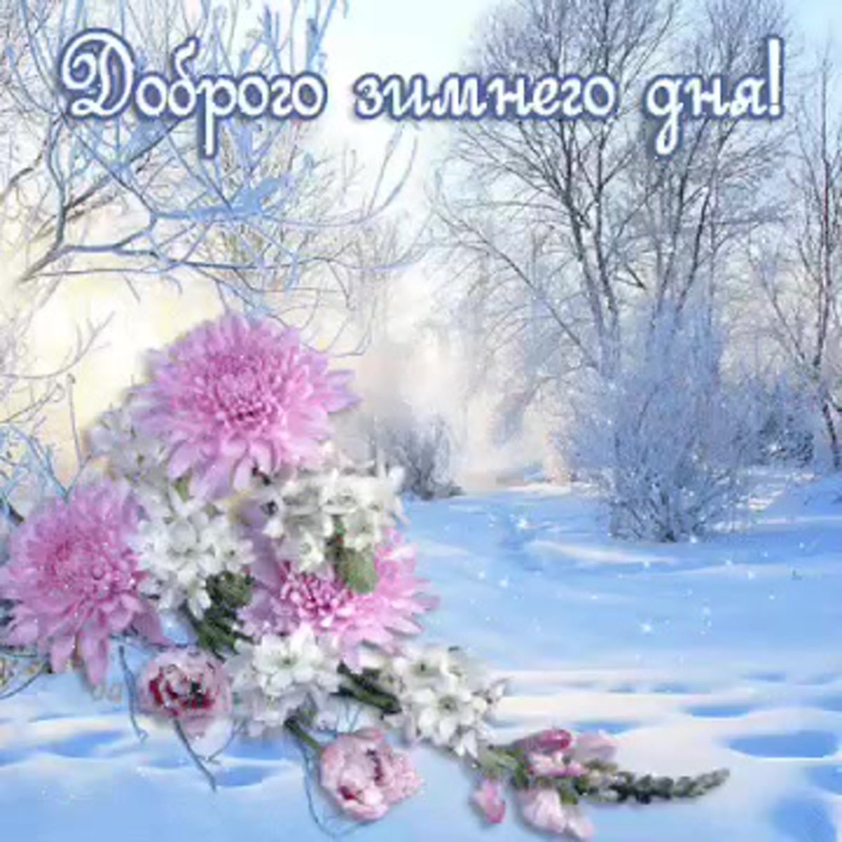 С первыми зимними выходными