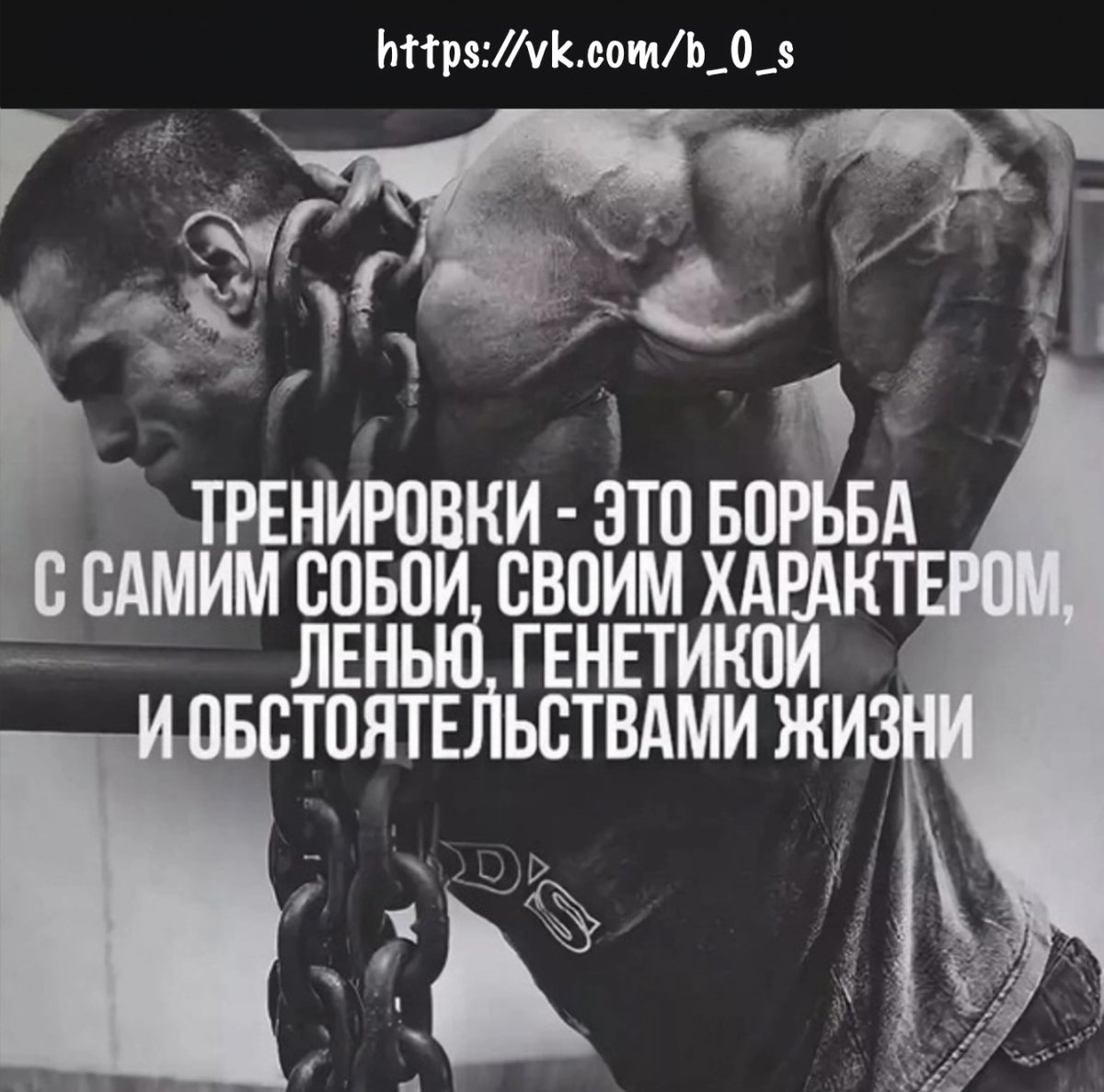 Цитаты про тренировки