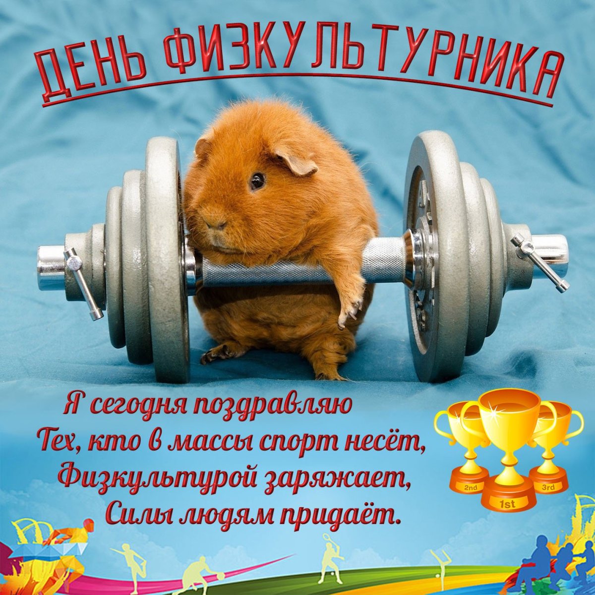 С днем физкультурника поздравление