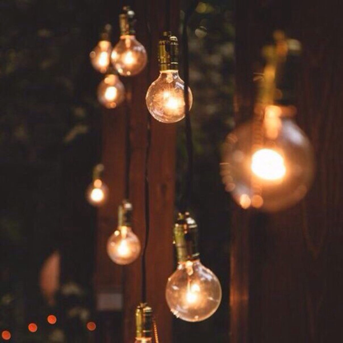 Дерево в лампочке