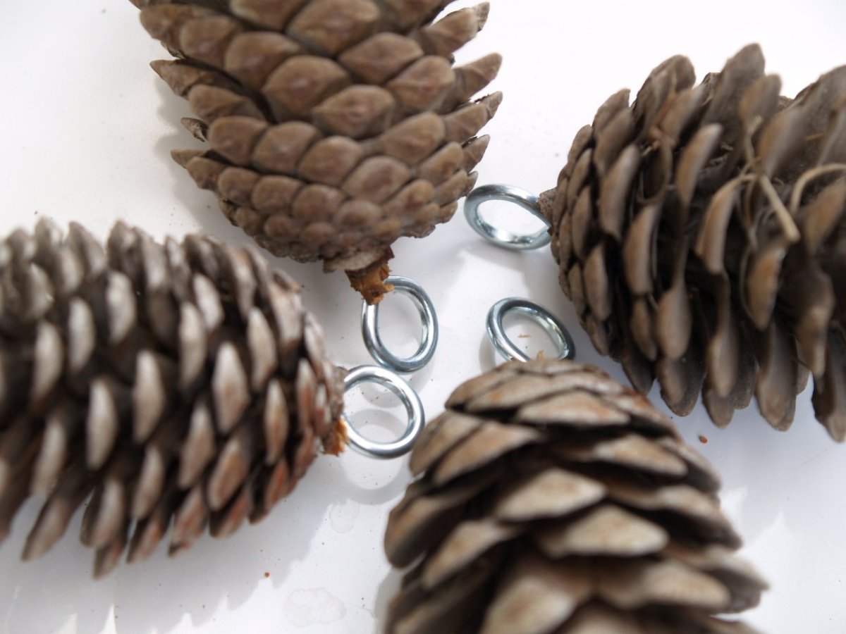 Украшение кабинета шишками