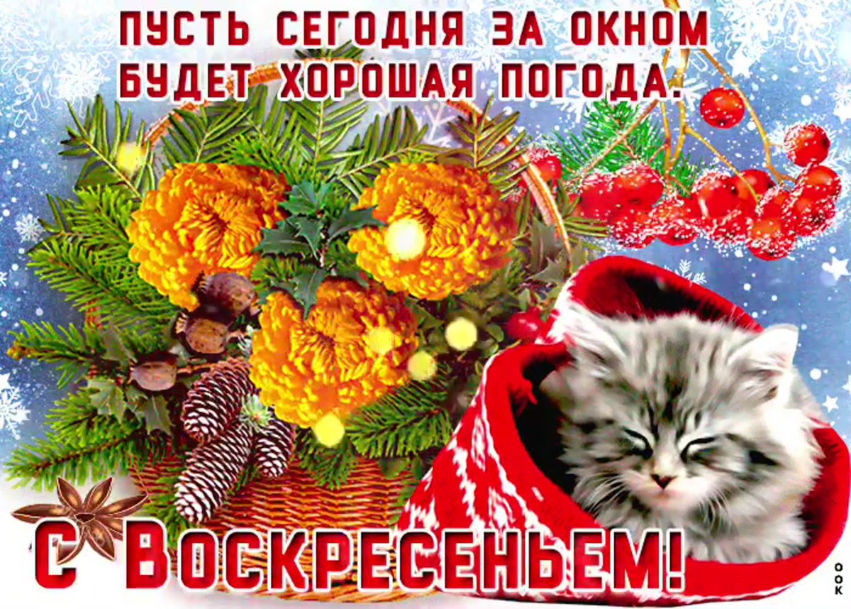 Хороших зимних выходных