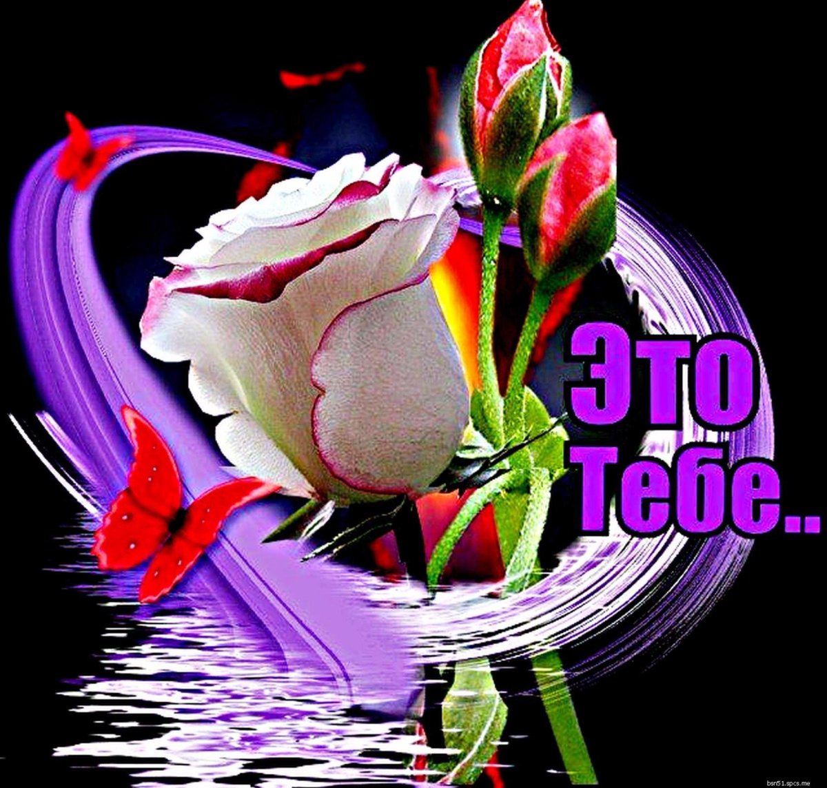 Чудесного вам вечера