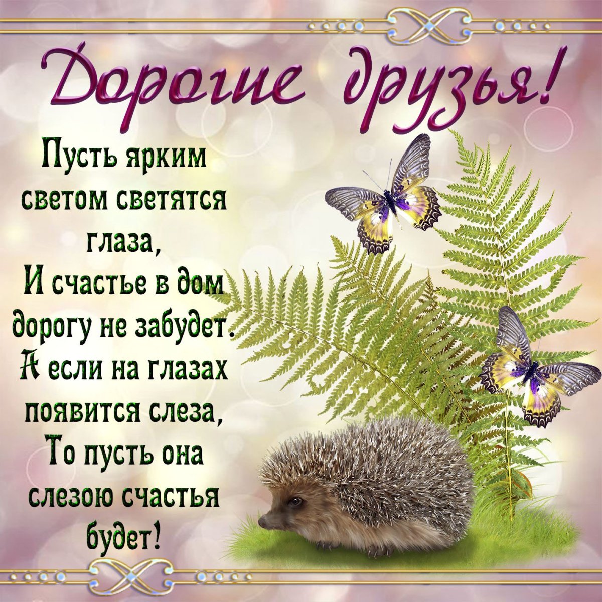 Добрые пожелания и высказывания