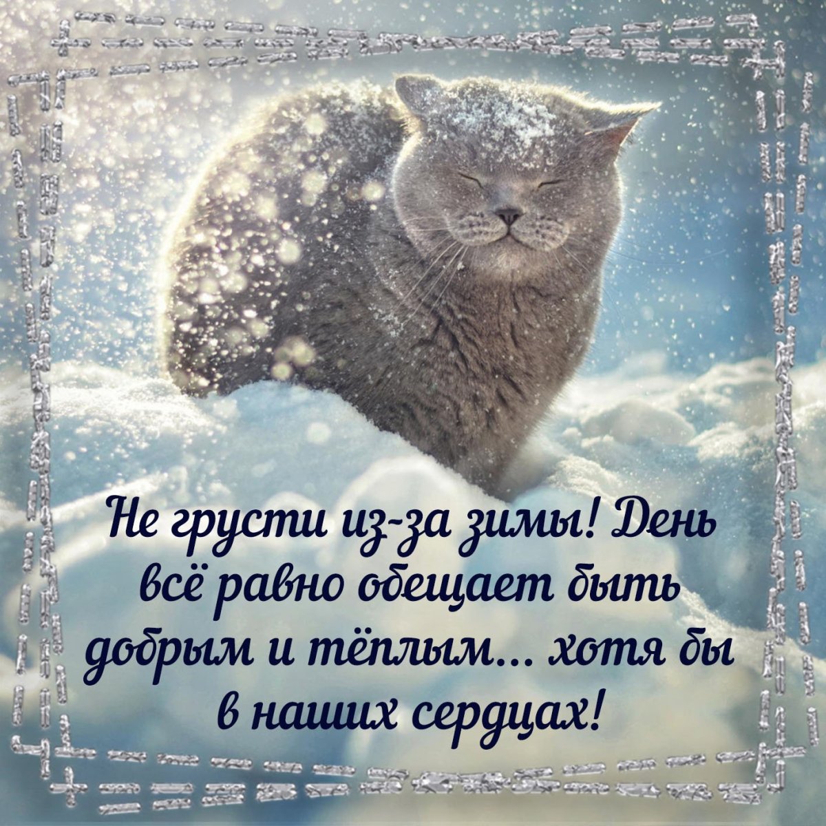 Доброе утро Светик