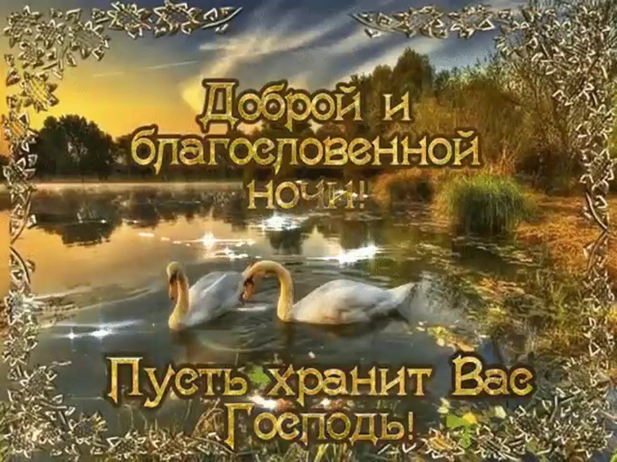 Доброго вечера и спокойной ночи