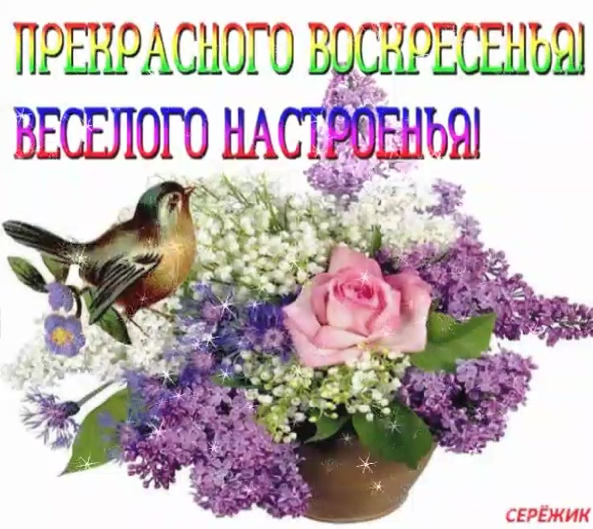 Поздравления с добрым днем красивые