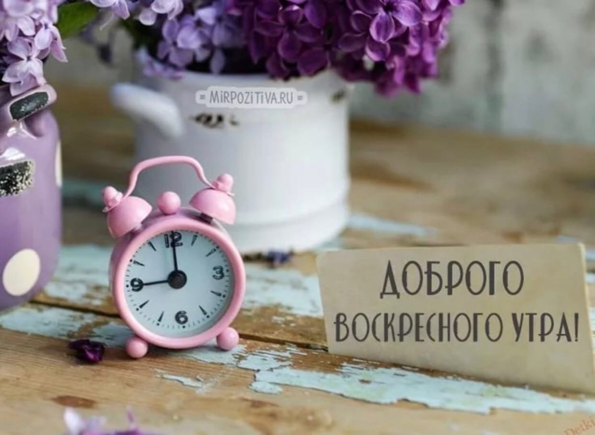 Доброго солнечного утра и удачного дня