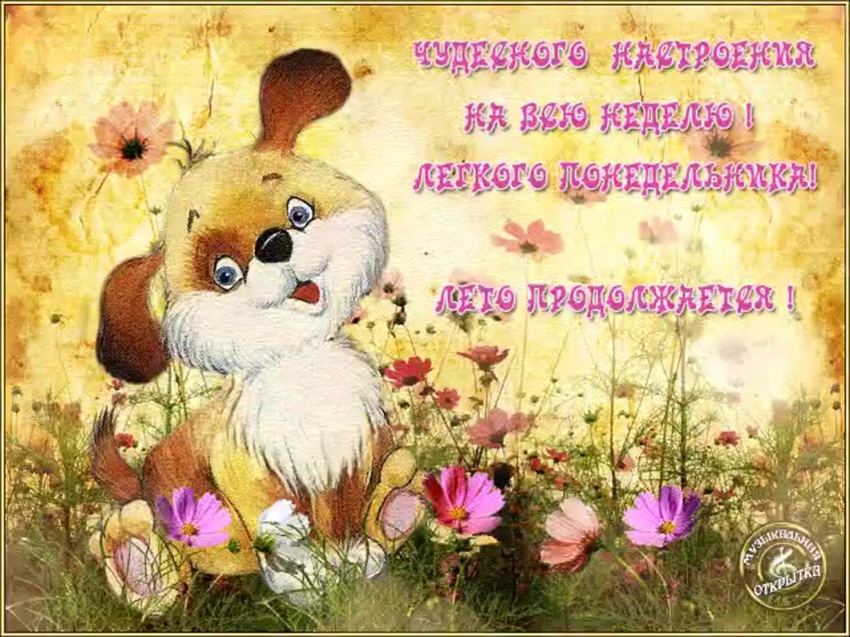 Смешные пожелания доброго утра