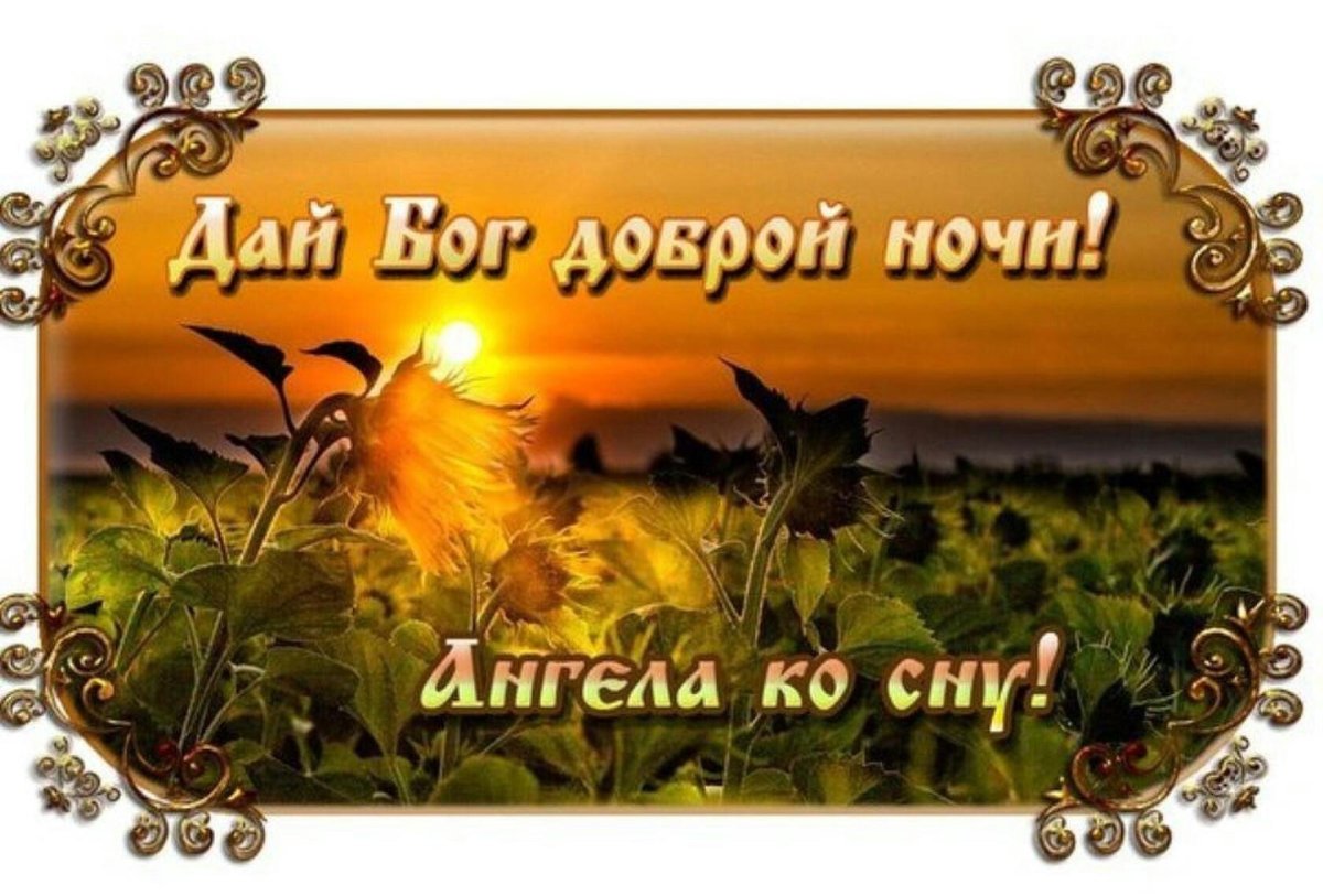 Доброй ночи Весна