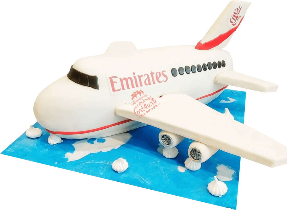 Торт с красным самолетом