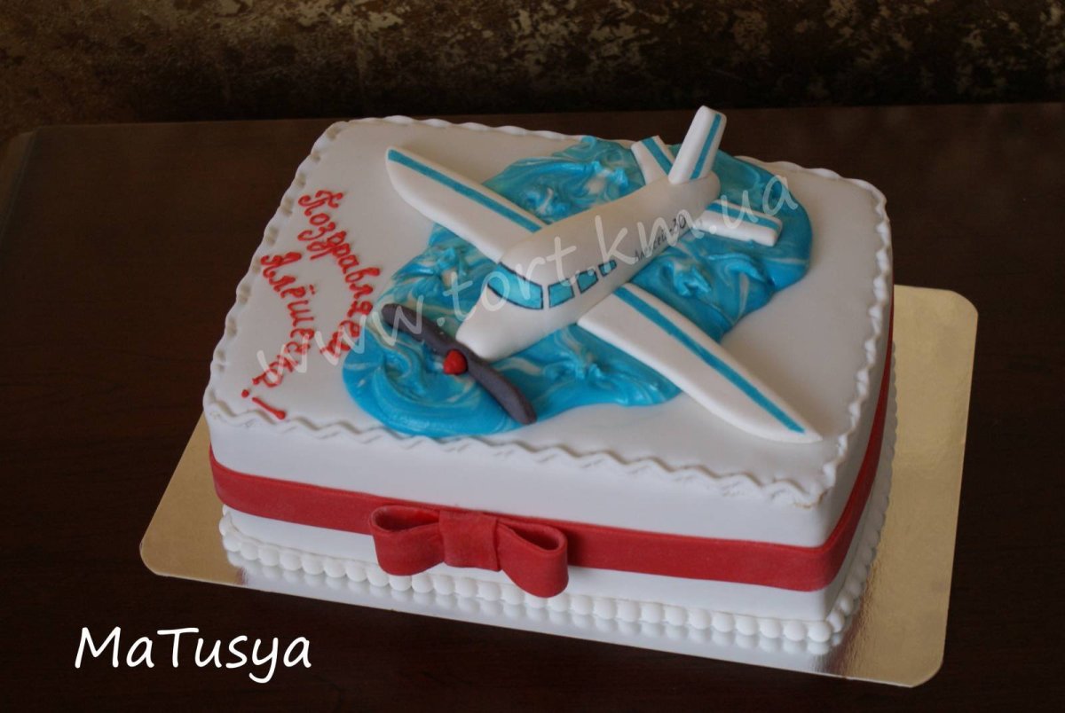 Торт с самолетом для мужчины
