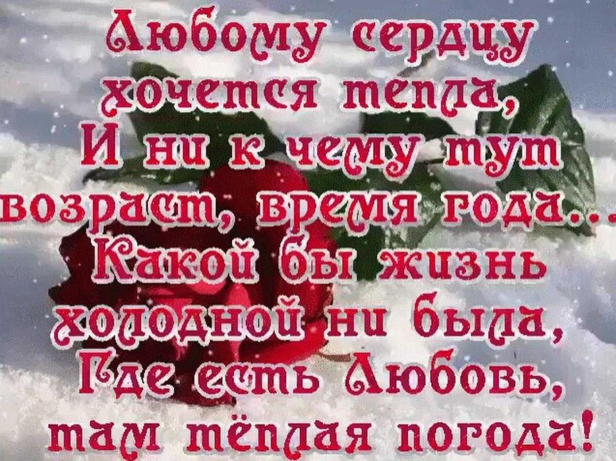 Любому сердцу хочется тепла