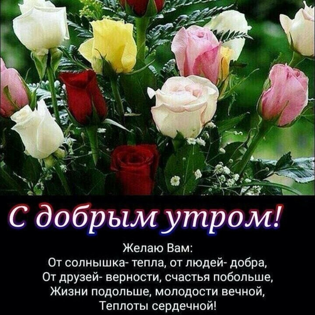 Пожелания доброты тепла и счастья