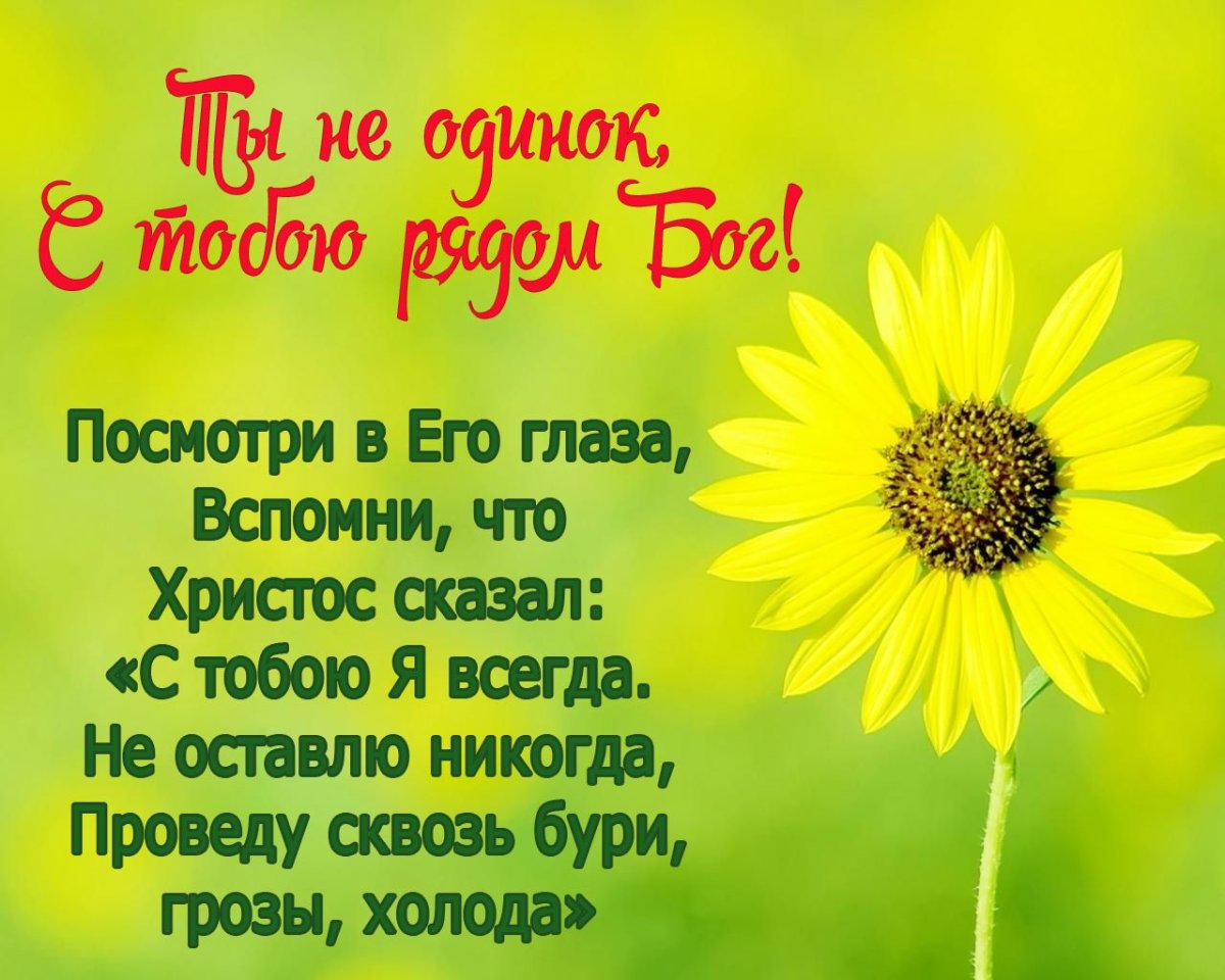 Доброго дня с пожеланиями из Библии