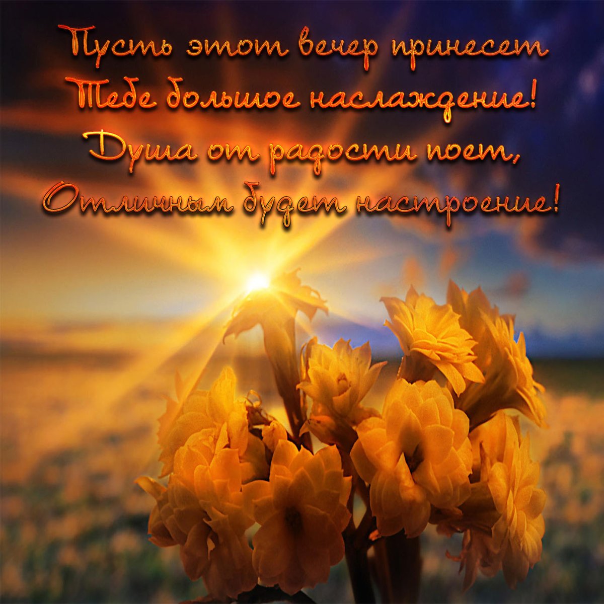 Афоризмы пожелания