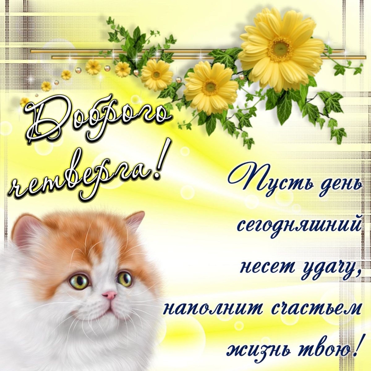 Пожелания доброго дня