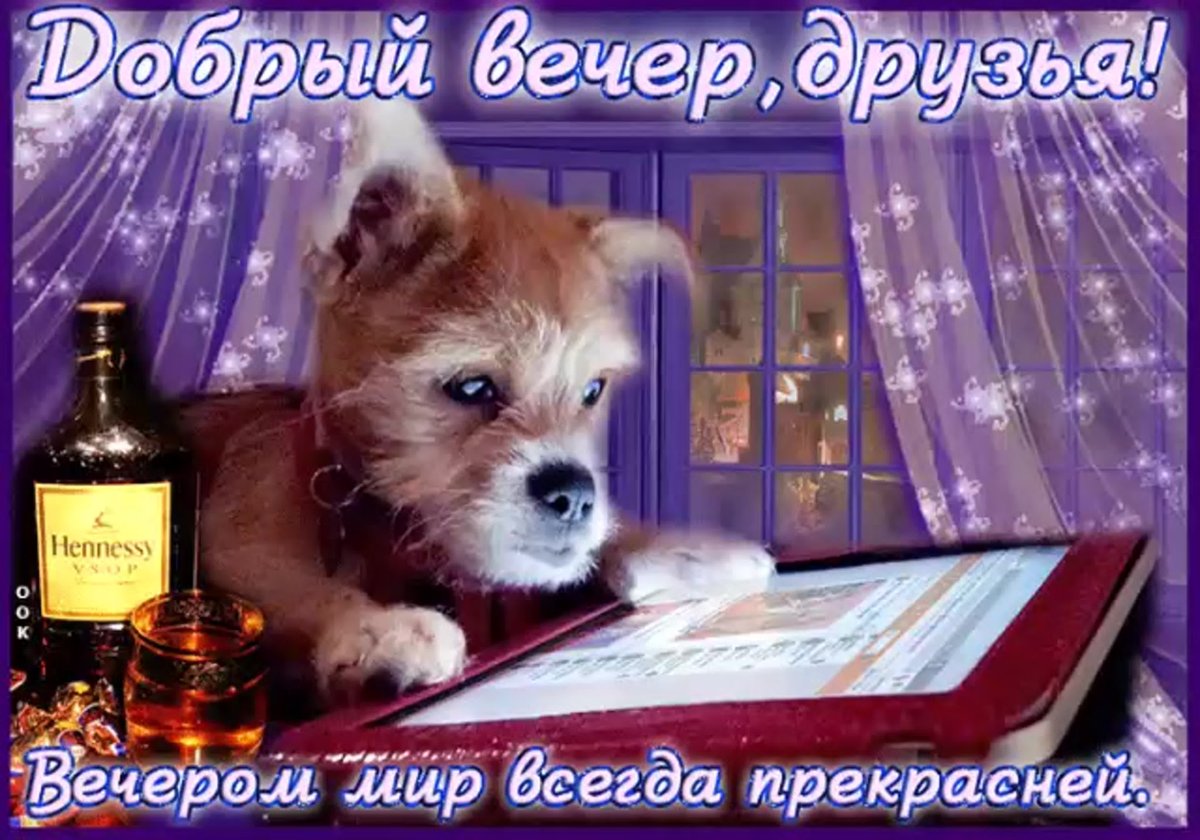 Прекрасного вечера и хорошего настроения