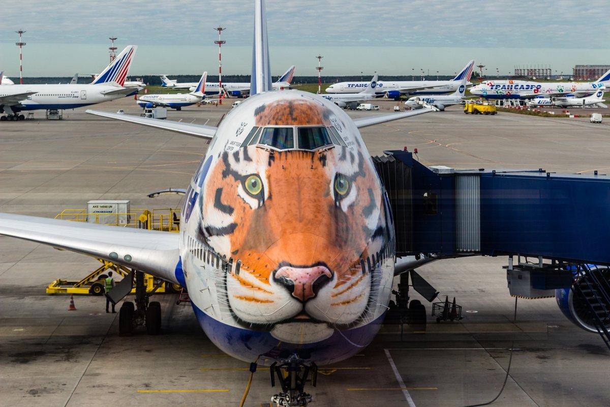 Пожелания доброго пути