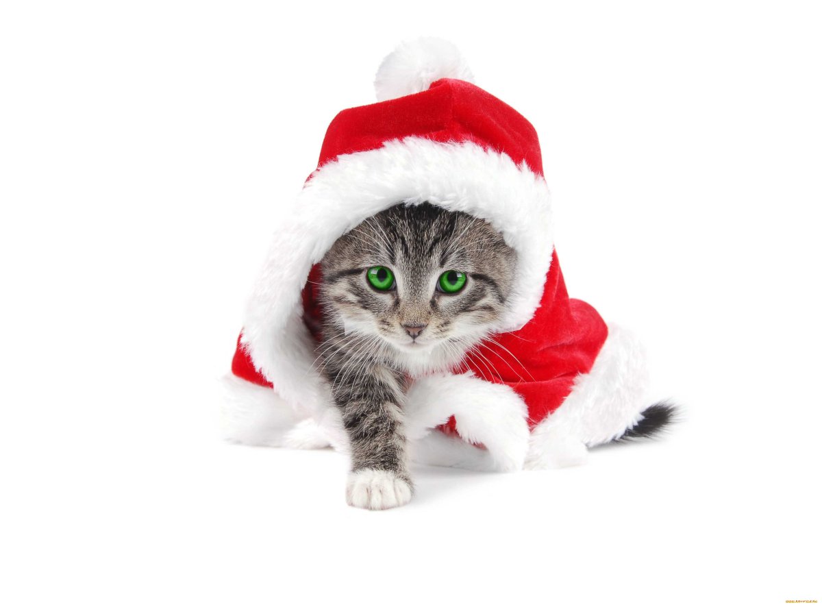 Снеговички на рабочий стол