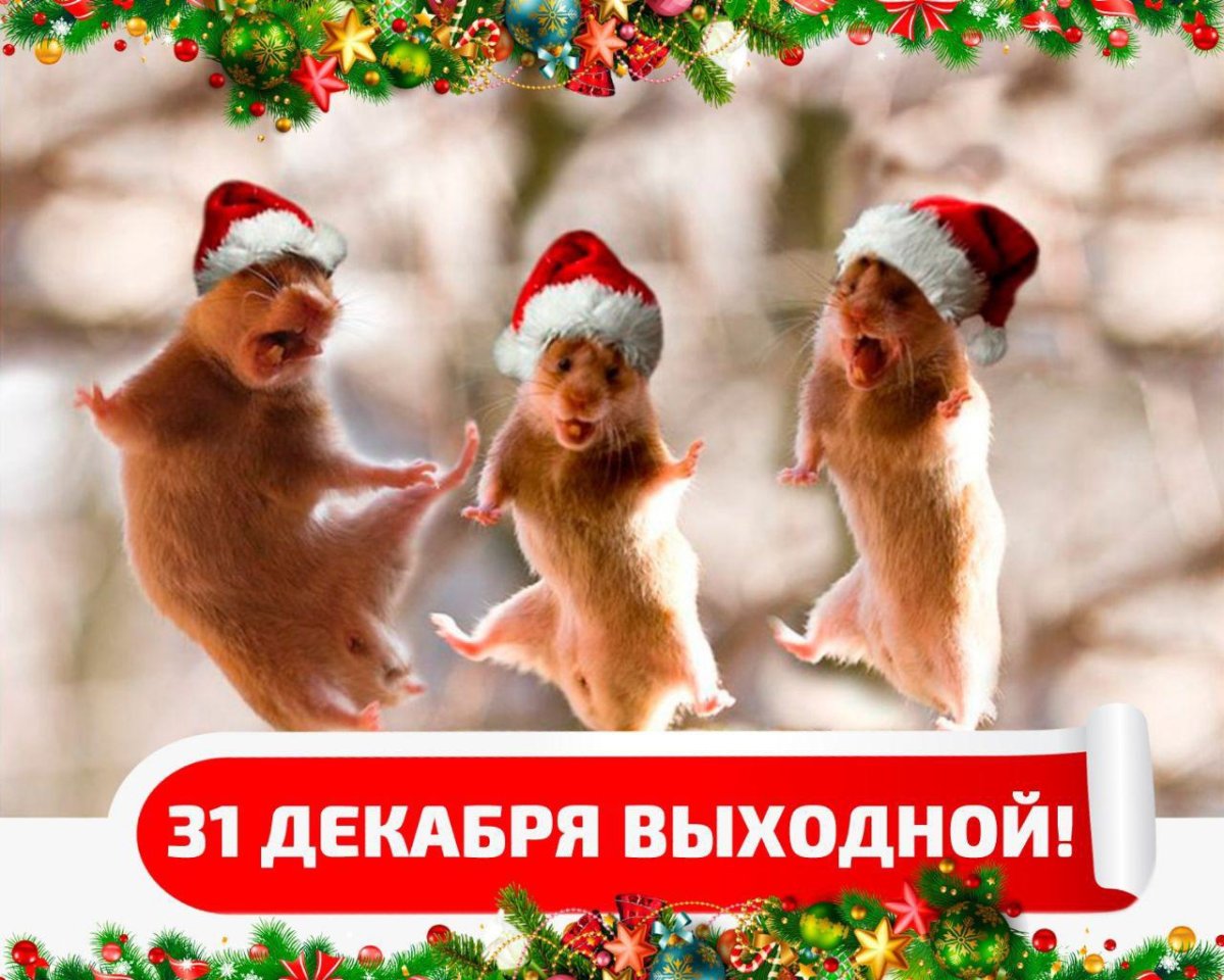 Скоро новый год!