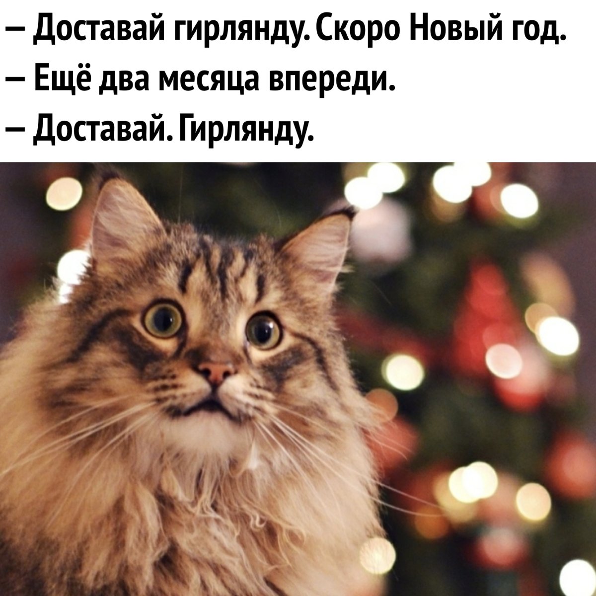 День написания письма деду Морозу