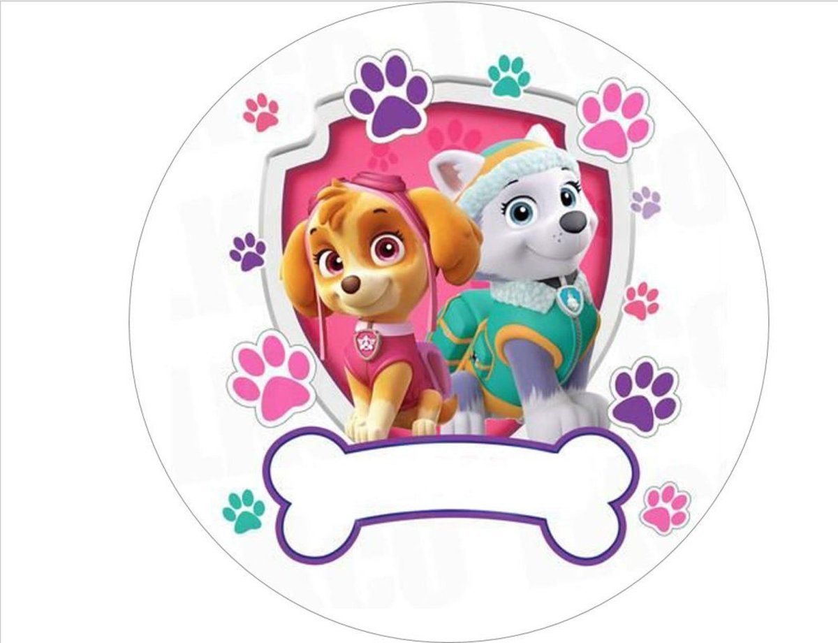 Фотопечать Щенячий патруль Скай