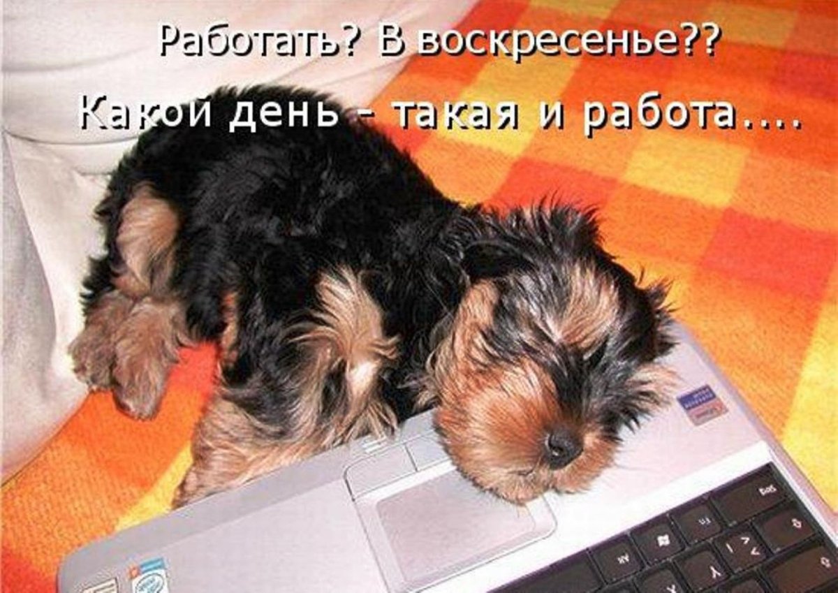 Открытки прекрасного четверга