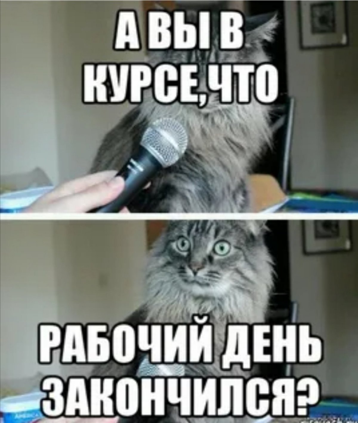 Аватарка для работы