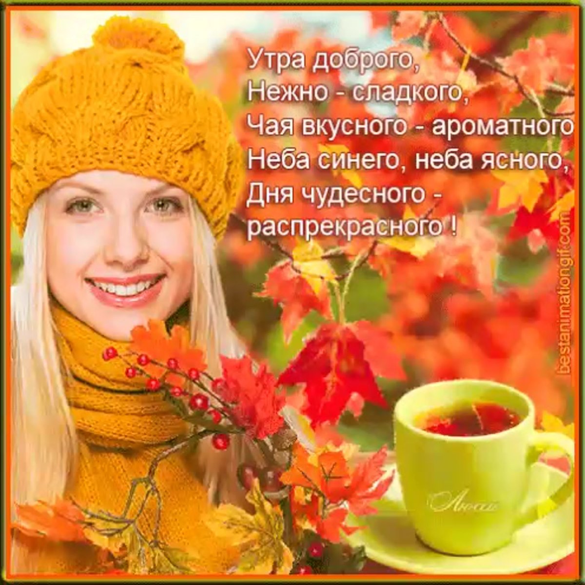 Доброе утро отличного дня