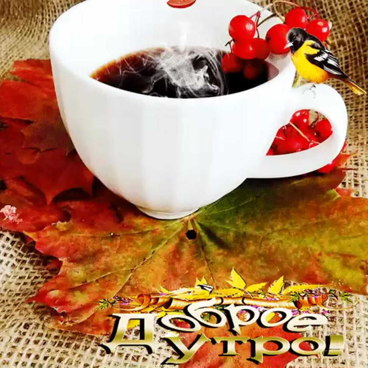 Мудрые пожелания с добрым утром